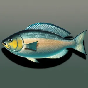 Colorful Reef Fish Swimming in Seawater