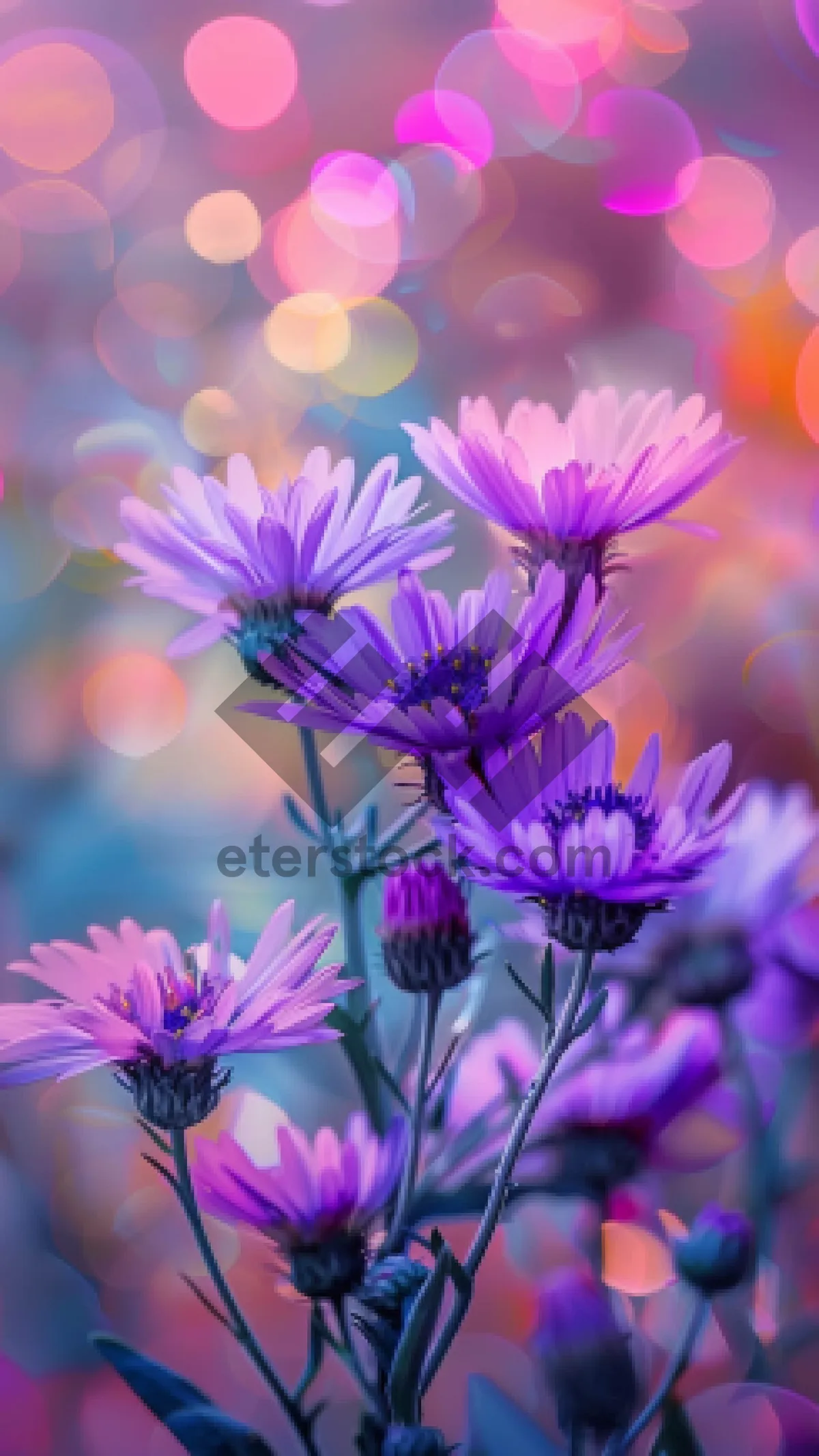 Picture of Colorful Spring Floral Fantasy in Pink and Purple