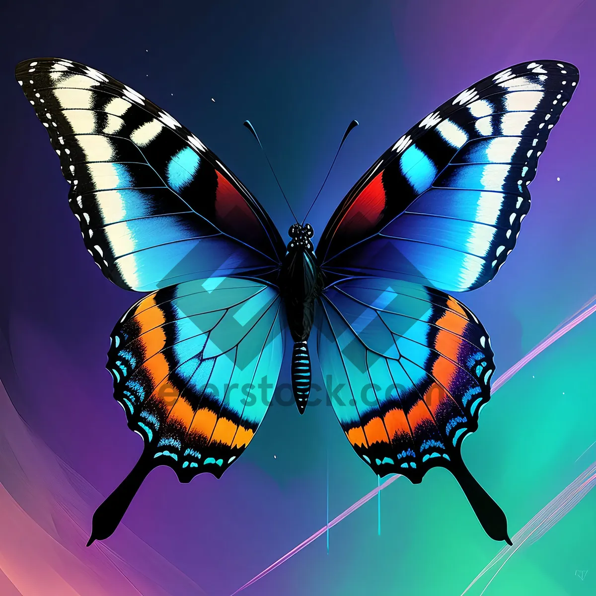 Picture of Butterfly Wing in Bright Summer Colors