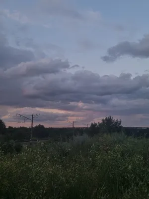 Autumn Forest Landscape with Turbines in the Sky