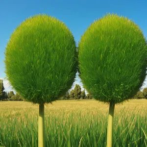 Lush Summer Meadow with Vibrant Plant Life