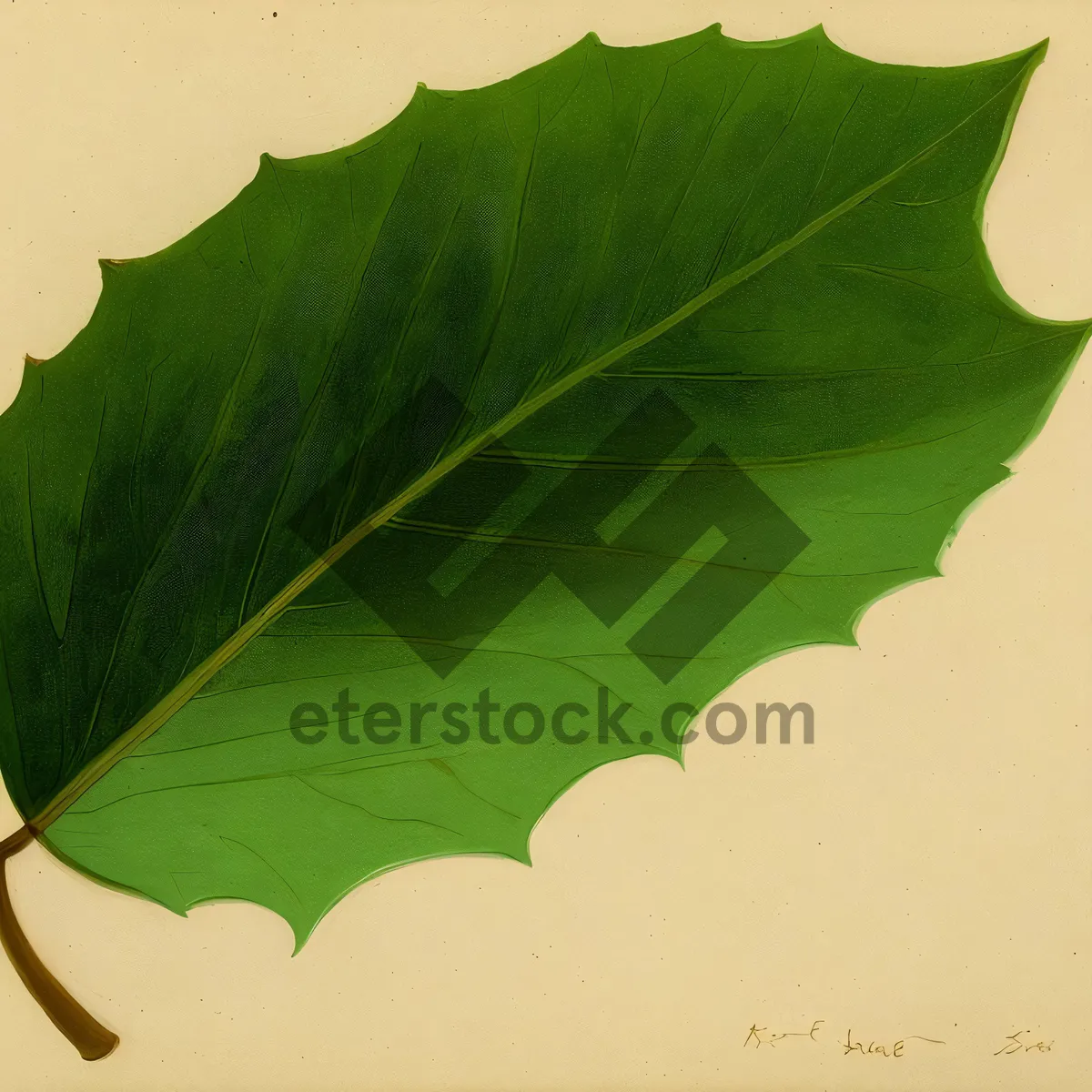 Picture of Taro Leaf: Vibrant Woody Plant Foliage in Natural Green