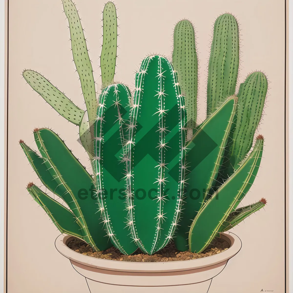 Picture of Desert Succulent Garden: Aloe and Cactus Blooms