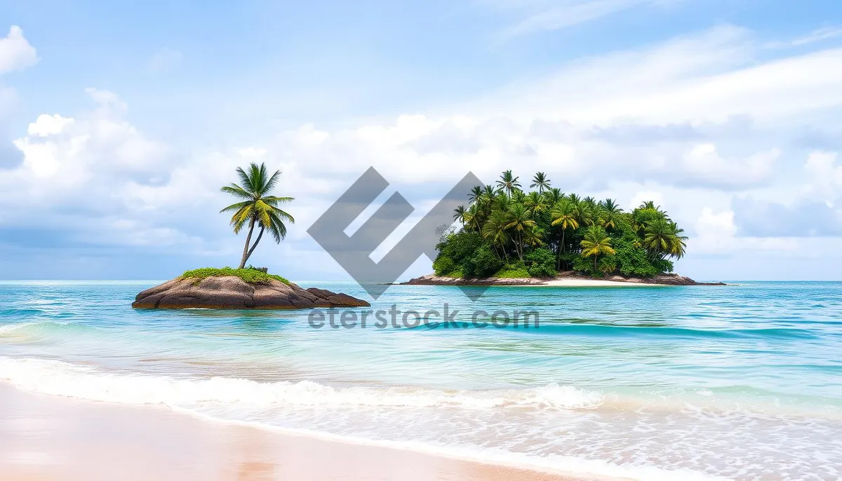 Picture of Tropical beach paradise with palm trees and ocean waves.