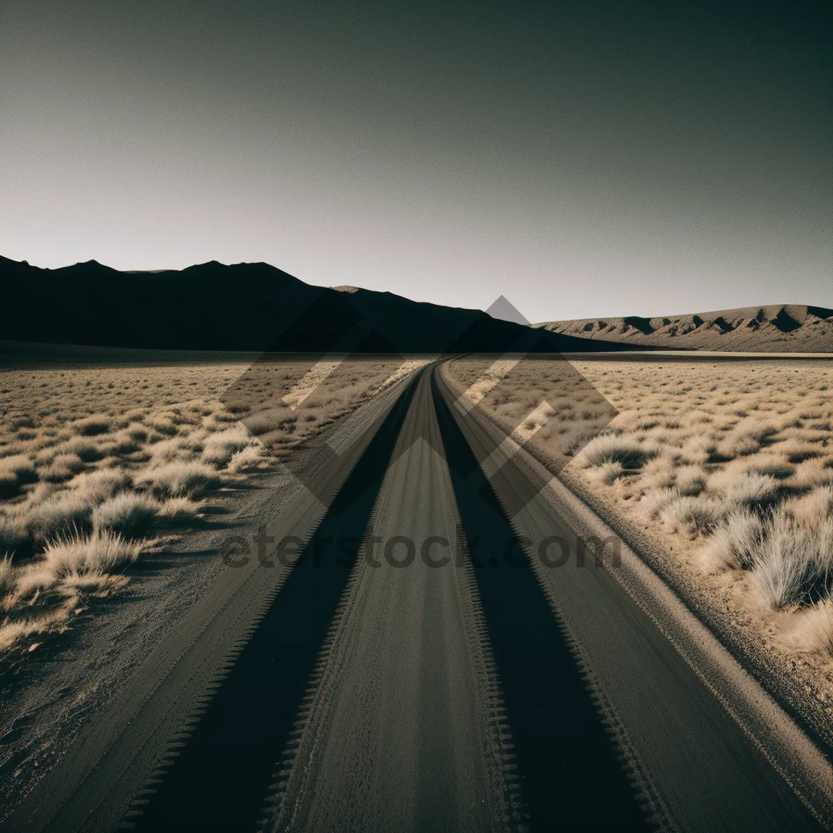 Picture of Speeding Through the Empty Desert Highway