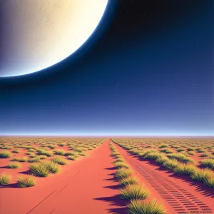 Majestic Desert Landscape Bathed in Moonlight