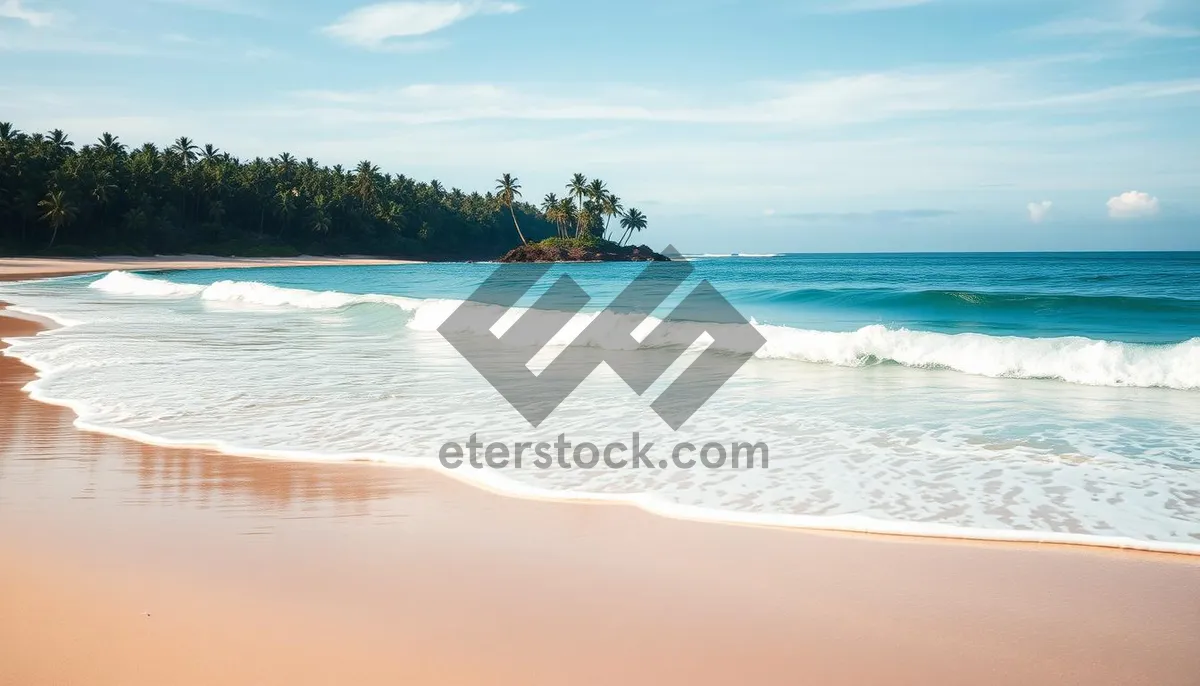 Picture of Tropical Paradise with Clear Turquoise Waves and Palm Trees