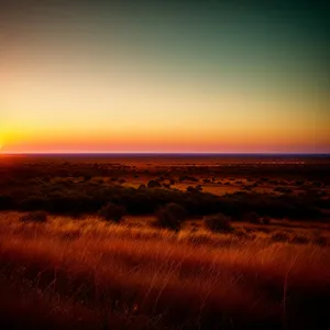 Tropical Sunrise: Silhouette Reflection on Seaside Horizon