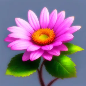 Blooming Purple Lotus Flower in Vibrant Garden