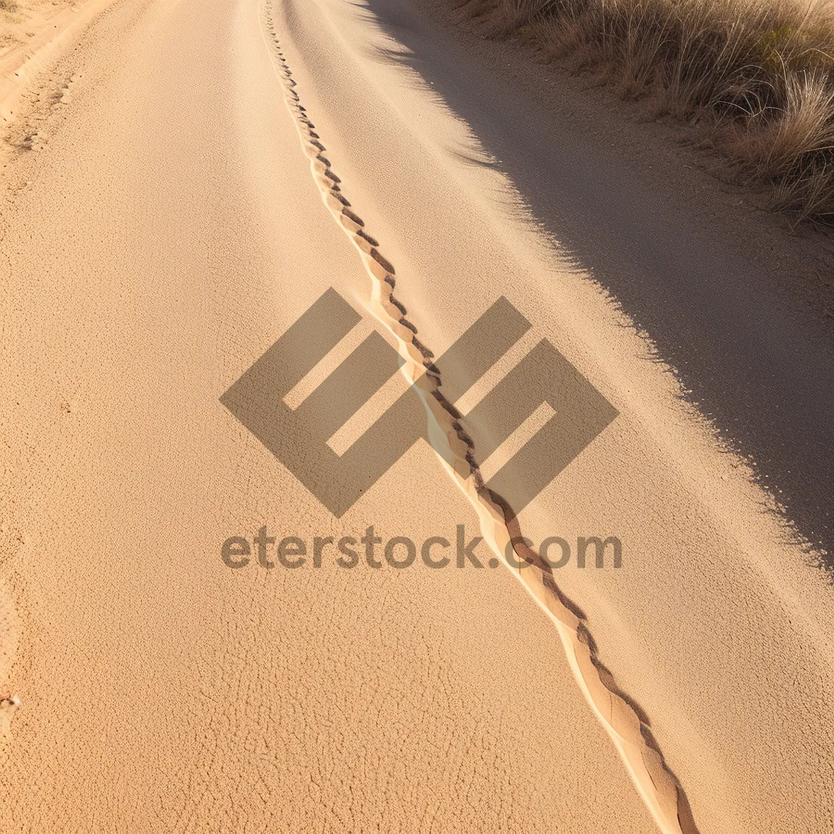 Picture of Sandy Summer Dunes: A Textured Desert Landscape