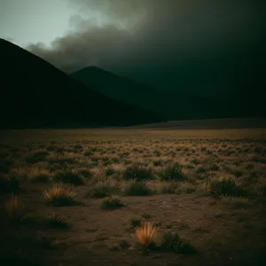 Vast Serene Sunset Over Desert Plains