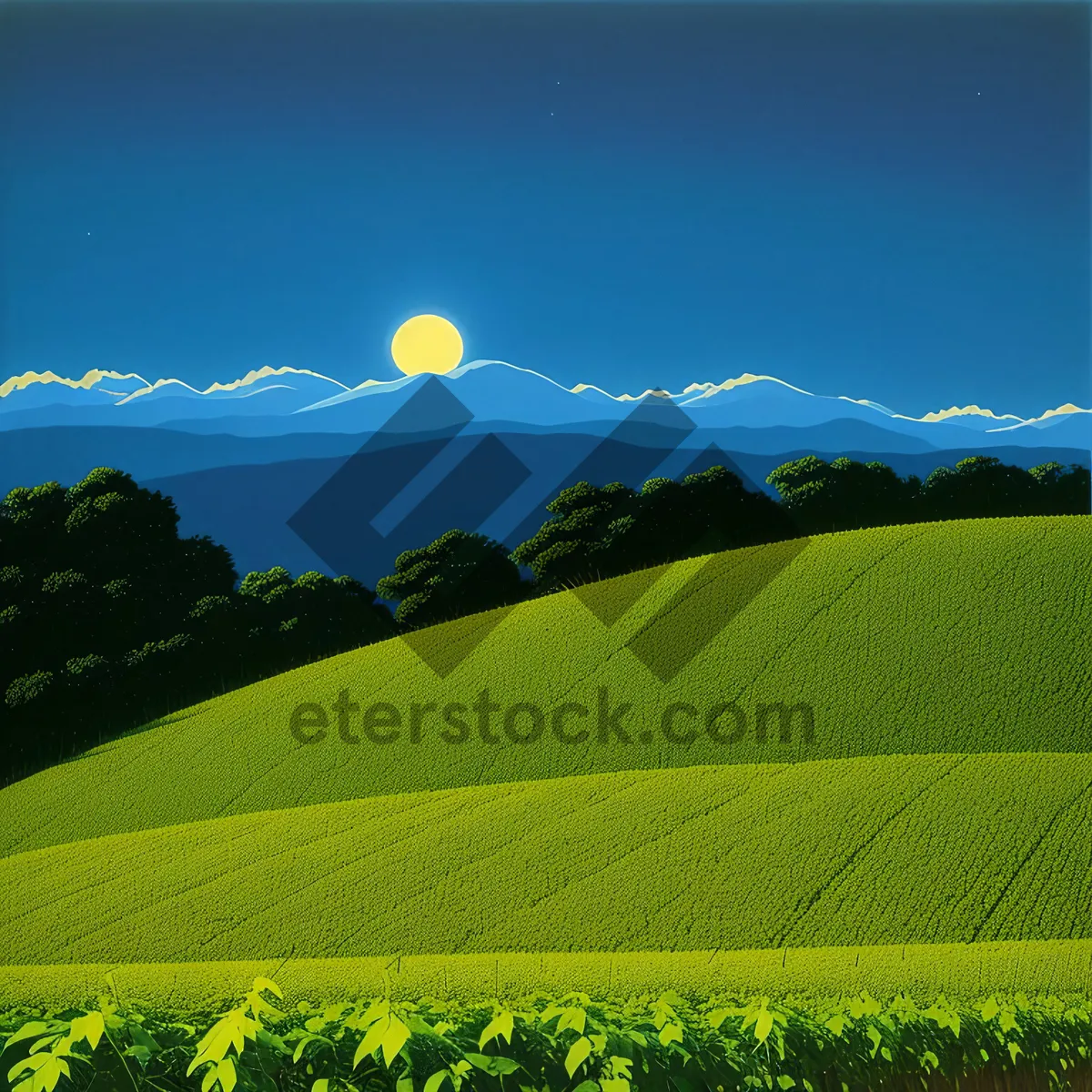 Picture of Idyllic Sunny Farm Landscape in Spring