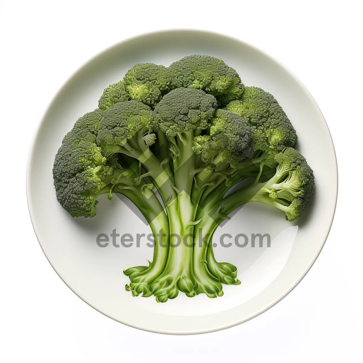 Picture of Fresh Vegetable Dinner for Health and Nutrition