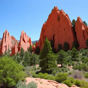 Southwest Canyon Landscape: Majestic Sumac and Coral Trees in Desert Park