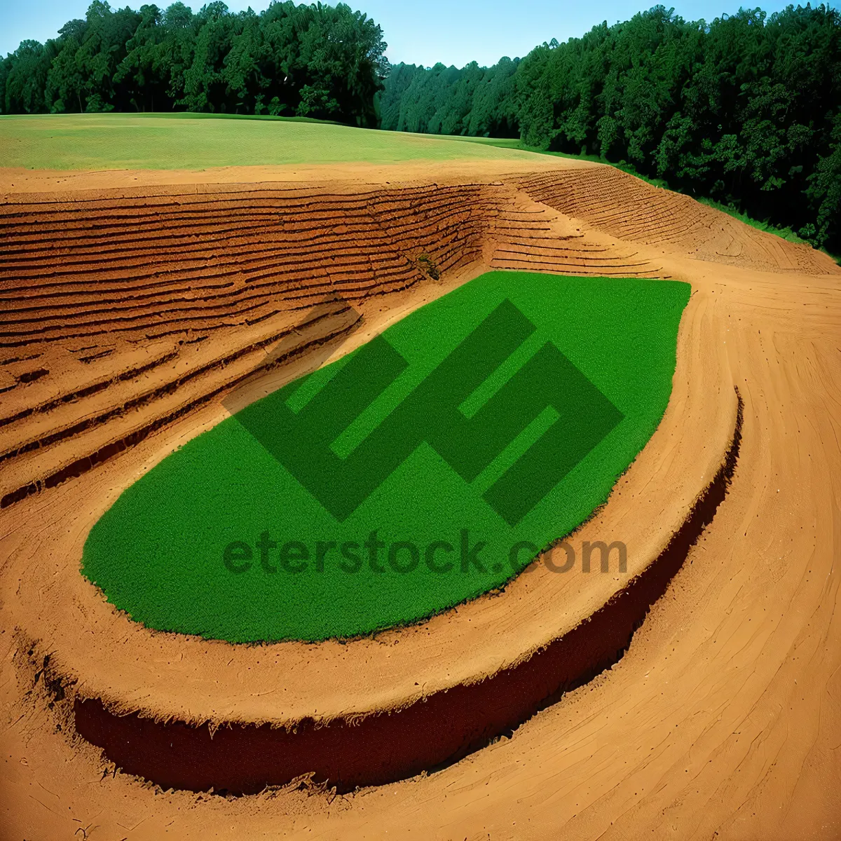 Picture of Serene Desert Dune Landscape Under Clear Summer Sky