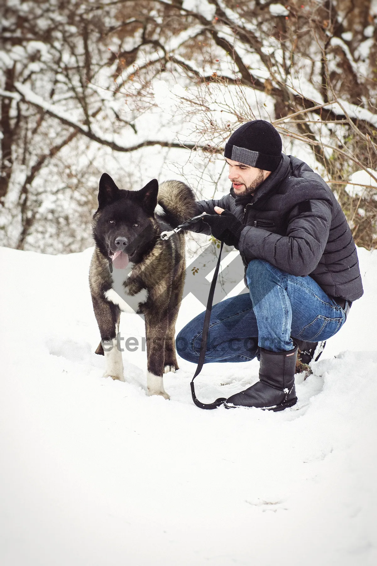 Picture of Winter fun with dog on snowshoes in mountains.