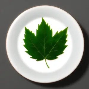 Nature's Healing Icon: Leaf Dew Clover Symbol