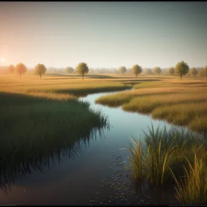 Serene Sunset Over Countryside Meadow