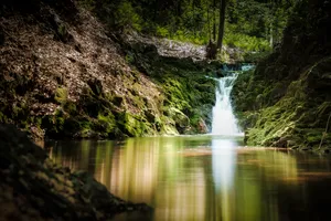 Scenic River Flowing Through Forest with Stone Bridge