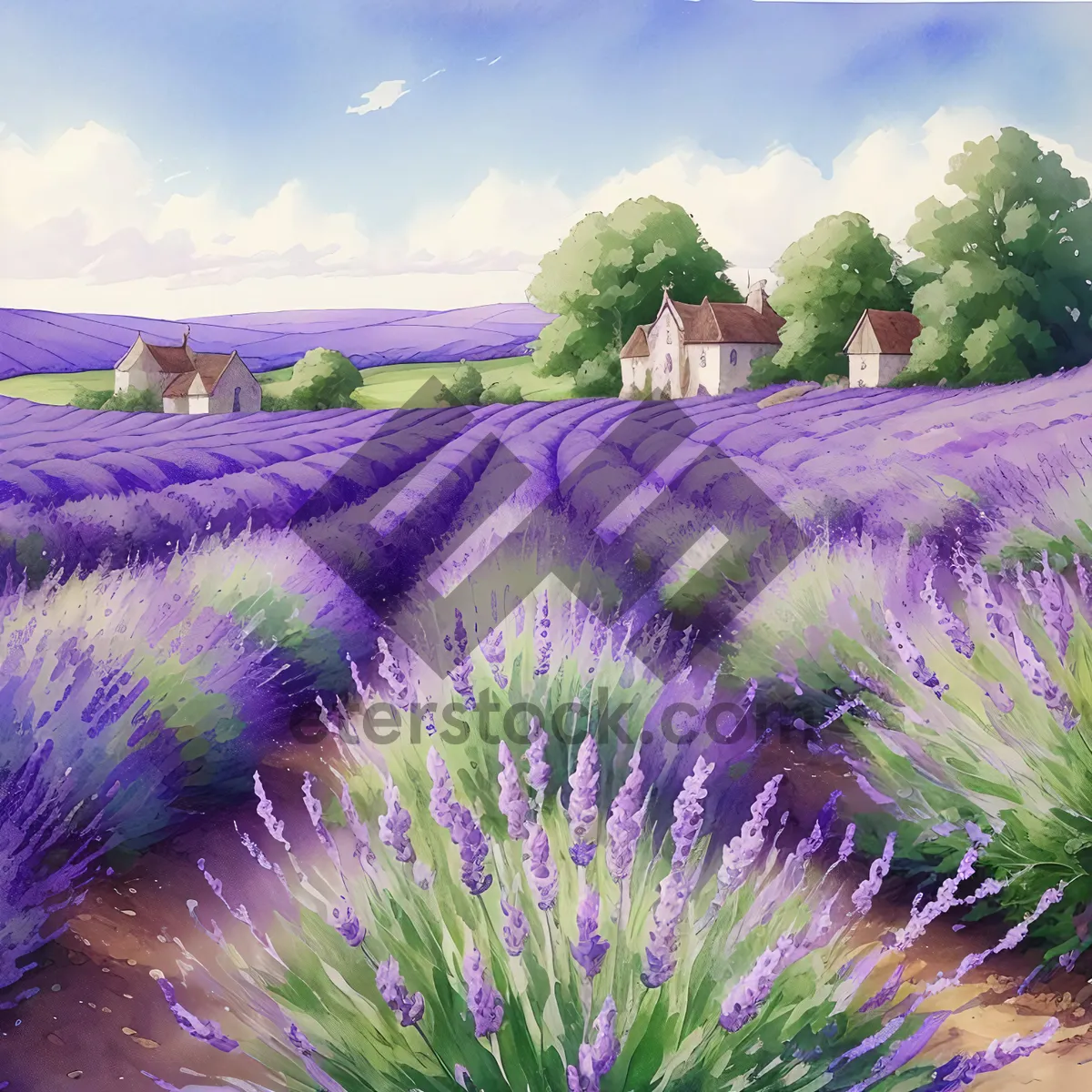 Picture of Lavender Blossom in Vibrant Purple