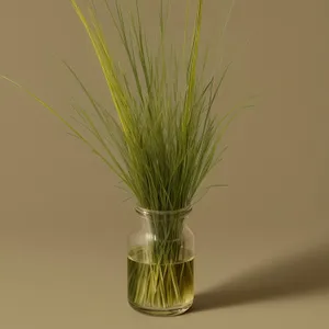 Wheat field with fly and brush