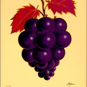 Vibrant Grape Vineyard Celebration: Colorful Decorative Ornaments