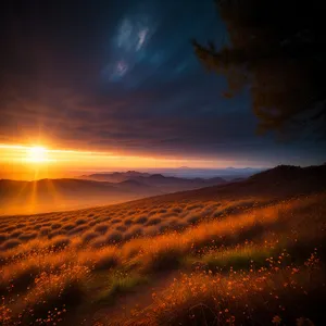 Sunset Over Mountain Road: Serene Golden Horizon