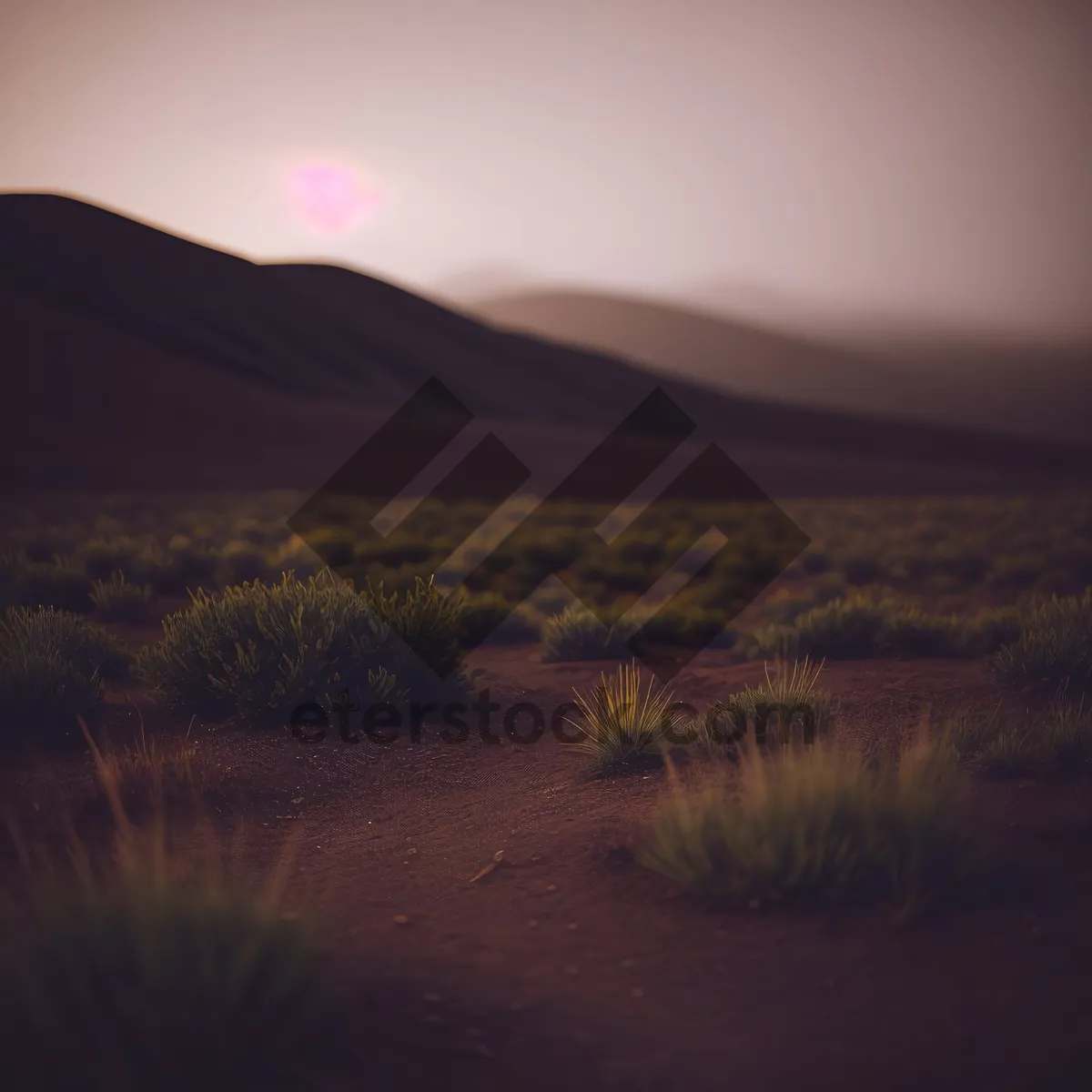 Picture of Golden Desert Sunset Over Dunes