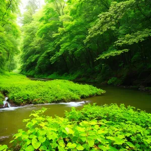 Tranquil Summer Scene: River and Forest