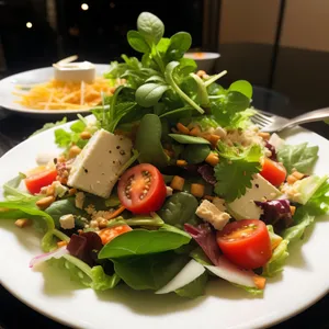 Fresh Gourmet Salad with Tomato and Cheese