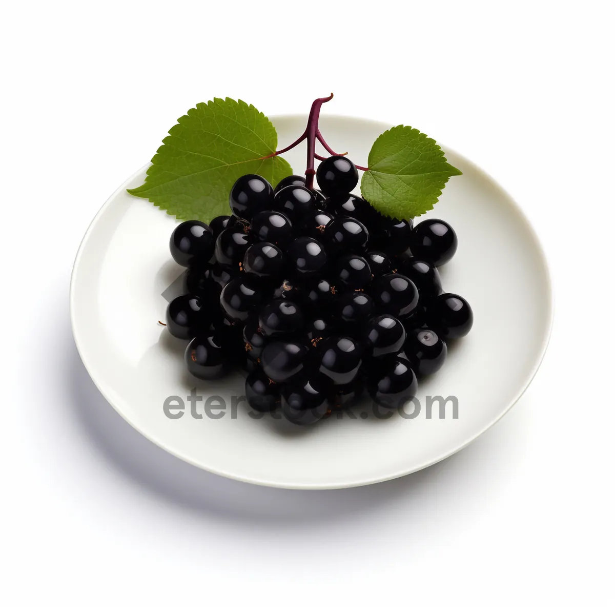 Picture of Delicious Blackberry Berry Closeup - Fresh and Healthy