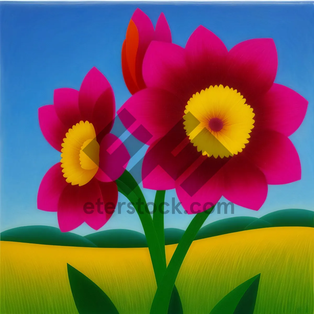 Picture of Vibrant Blooming Pink Tulip Petals