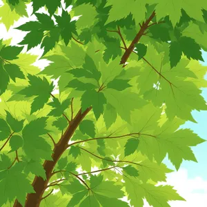 Lush Maple Leaves in Sunlight