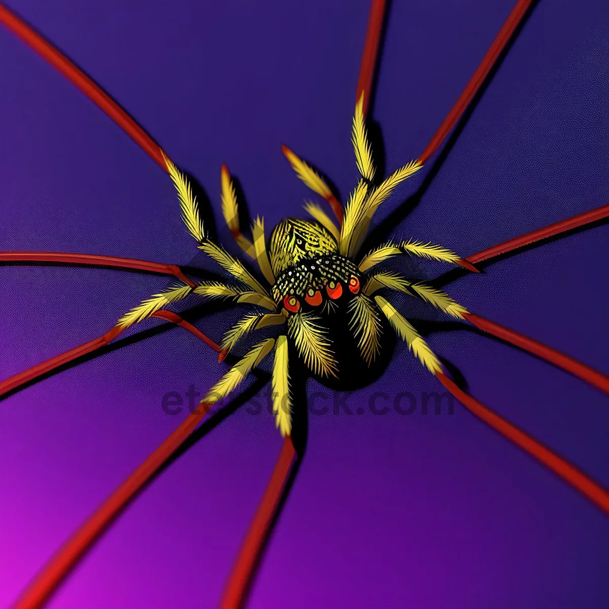 Picture of Harvestman Sea Spider: Fascinating Arachnid Arthropod