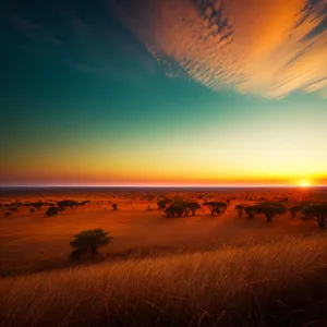 Tropical Sunset: Beach Dune with Orange Sky