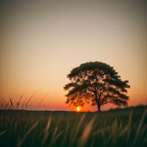 Serene Sunrise Over Rural Landscape