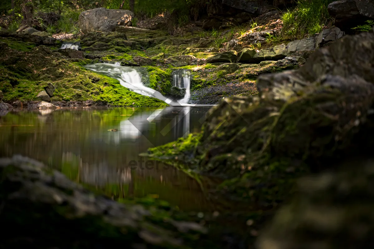 Picture of Tranquil suspension bridge over serene mountain river.