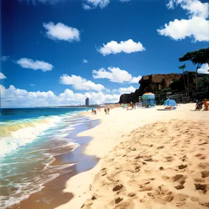 Tropical Bliss: Sun, Sand, Waves, and Palm