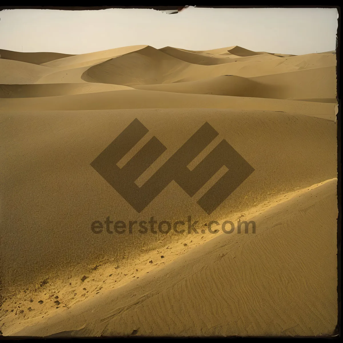 Picture of Golden Dunes of Morocco: Sun-kissed Desert Landscape