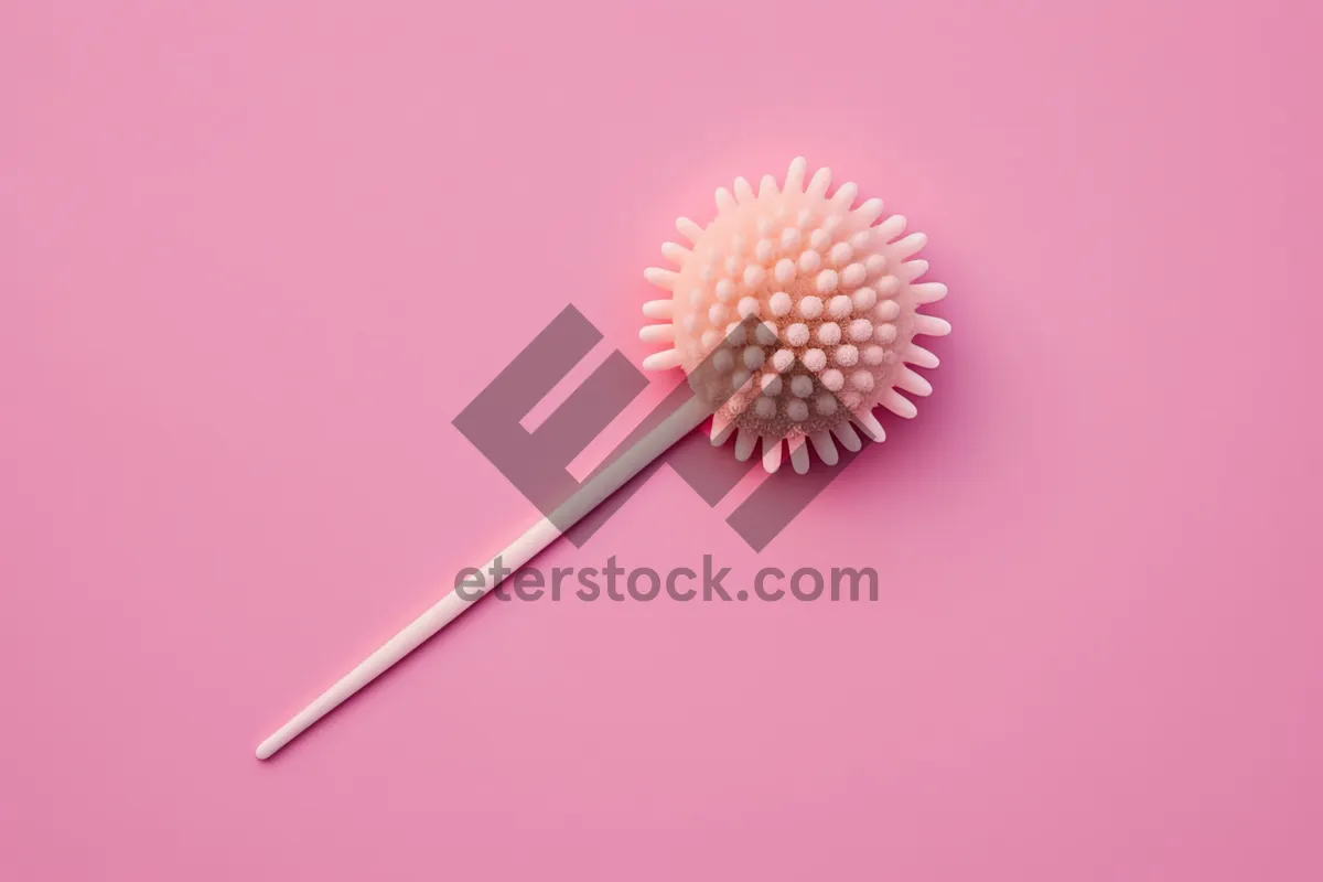 Picture of Ball Brush Pollen Needle Hairbrush