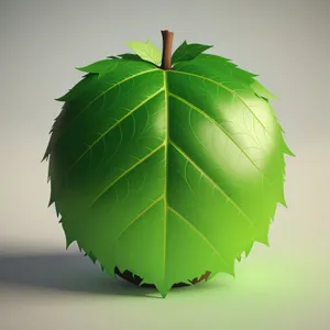 Maple Leaf Design: Natural Plant Bark with Leaves