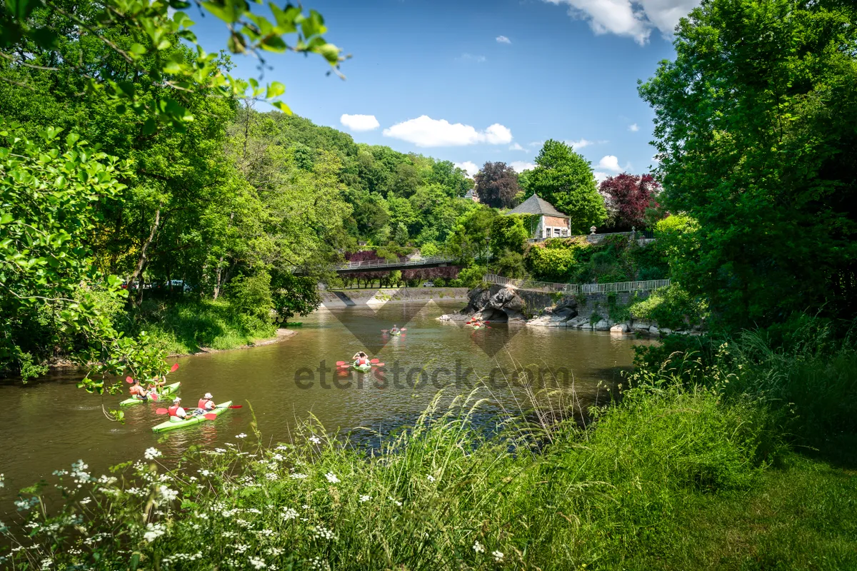 Picture of Tranquil Lakeside Park with Lush Greenery
