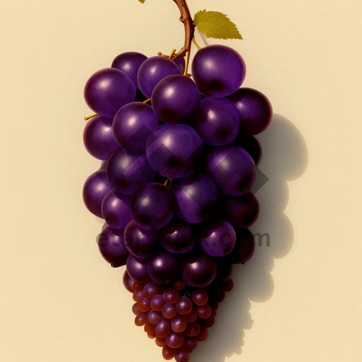 Picture of Juicy Grape Bunch: Fresh and Healthy Vineyard Delight