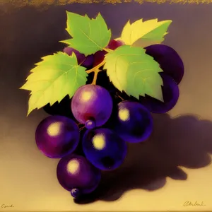 Festive Winter Berry Decor: Colorful Ornamental Grape & Currant
