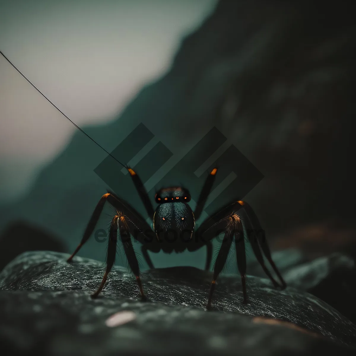 Picture of Close-up of a Flying Mosquito