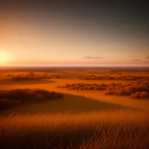 Vibrant Sunset over Beach and Ocean