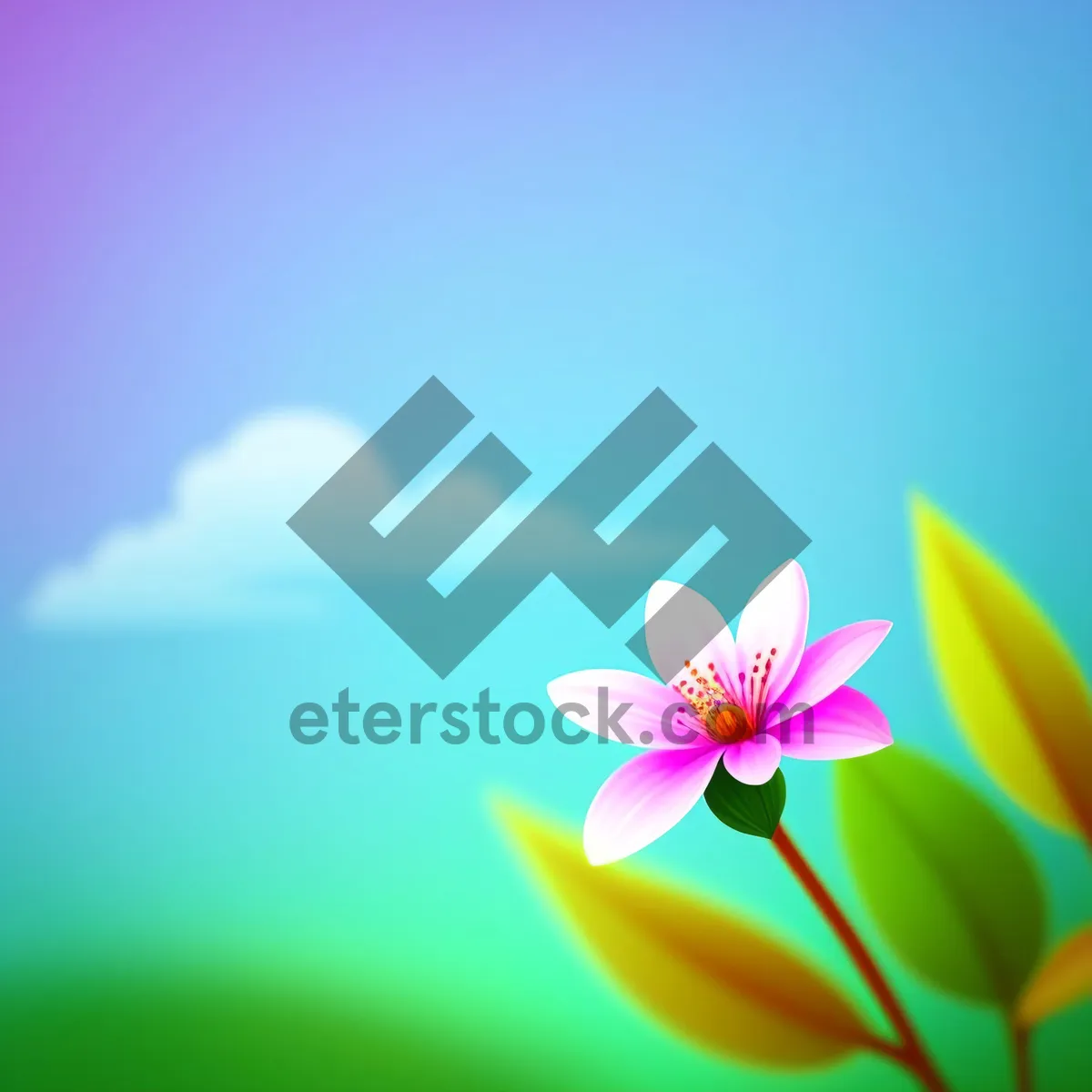 Picture of Pink Lotus Blossom on Island Oasis in Summer