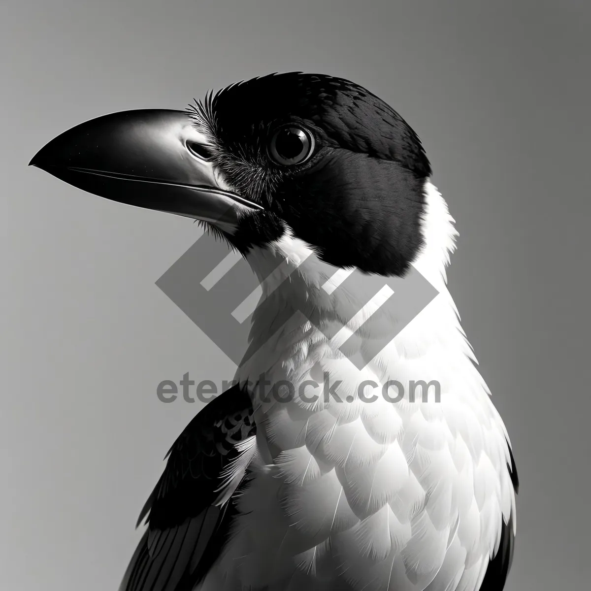 Picture of Graceful Flight: Seabird Soaring with Majestic Wings