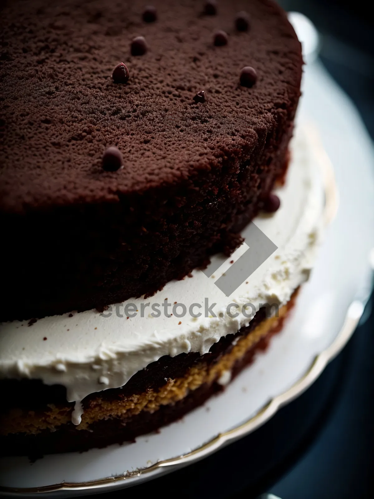 Picture of Delicious Chocolate Cake with Cream and Chocolate Sauce