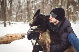 Man wearing mask and playing with shepherd dog in snow.